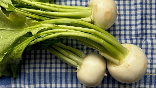 Drei Mairüben auf blaukariertem Geschirrtuch