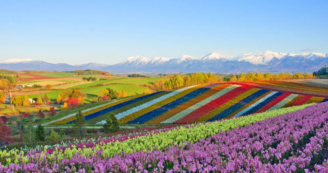Panorama-Blumengarten Shikisai no Oka