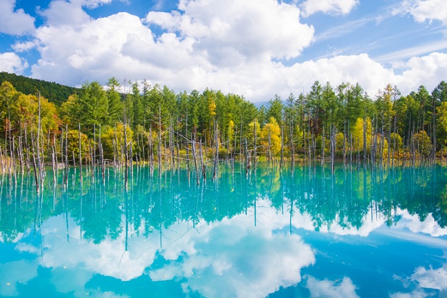 Der Blue Pond in Biei mit sich im blauen Wasser spiegelnden Wolken