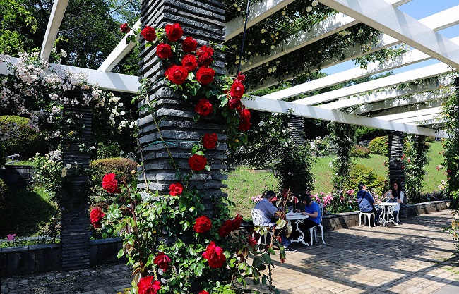 Rosengarten mit Gästen an Tischen
