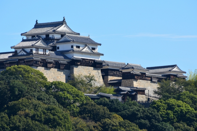 Die Burg Matsuyama.