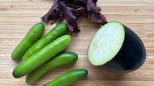 Gurke, Aubergine und rotes Shiso-Blatt