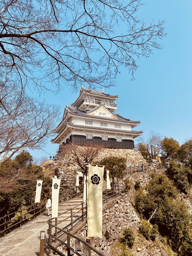 Burg Gifu