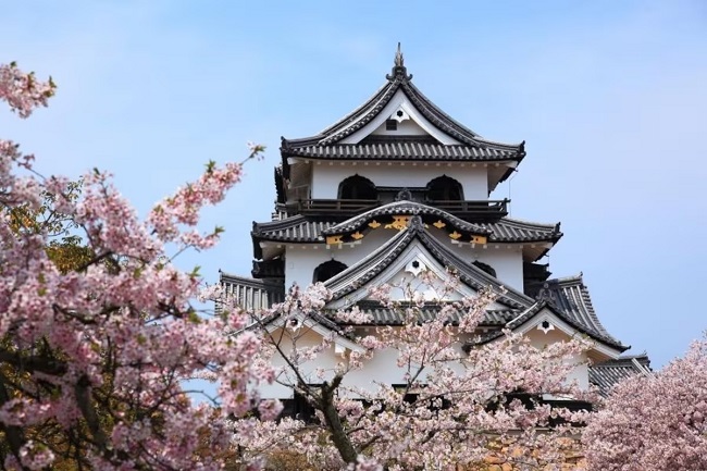 Der Hauptturm der Burg Hikone.