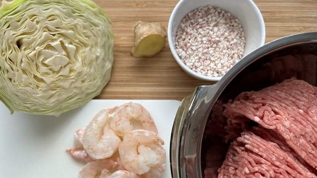 Hackfleischbällchen im Kohlmantel | JAPANDIGEST