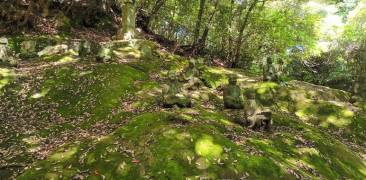 Buddha-Figuren auf moosbewachsenem Grund vor der Reigandō-Höhle