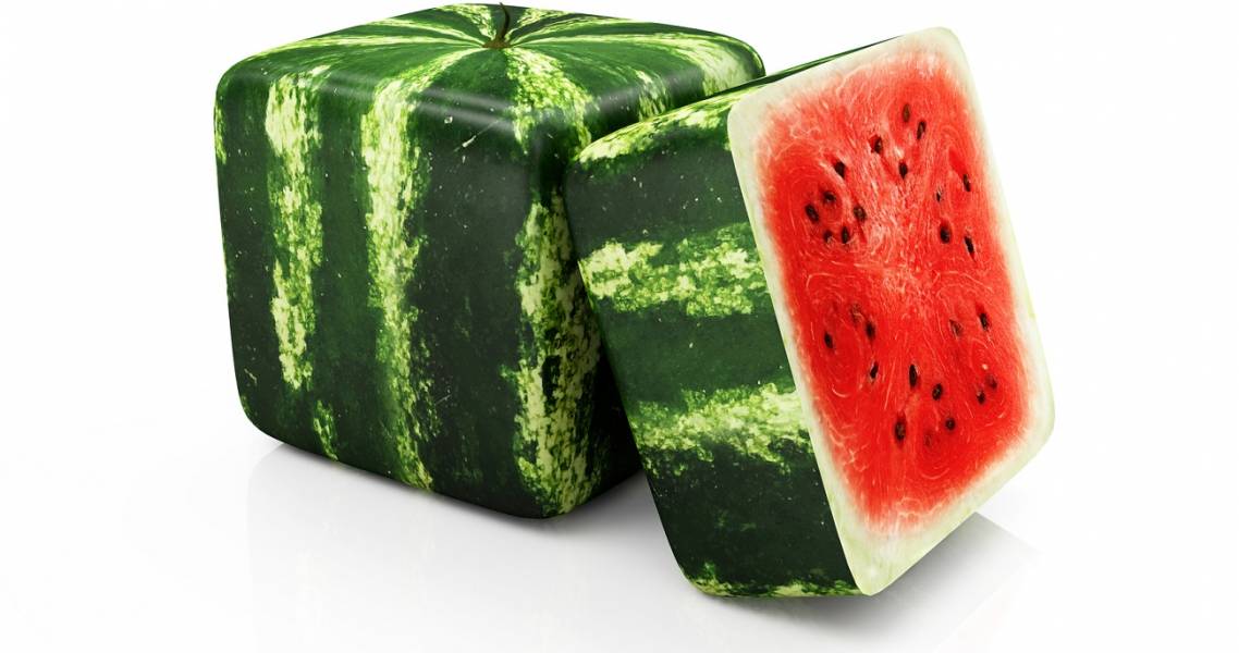 Eckige Wassermelone