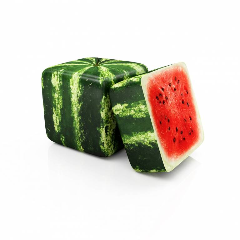 Eckige Wassermelone