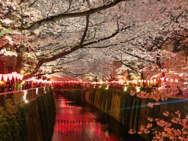 Meguro-Fluss bei Nacht