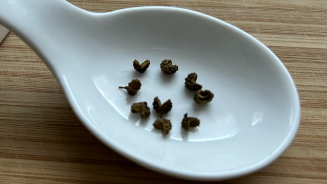 Ein paar Körner Szechuan-Pfeffer auf einem Porzellanlöffel