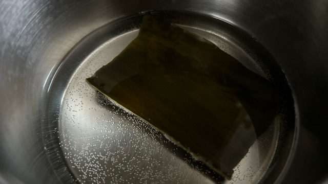 Ein Stück Kombu-Alge in Wasser