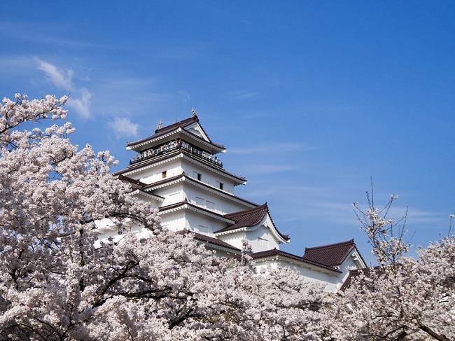 Frühling nahe der Burg Tsuruga in Aizu-Wakamatsu