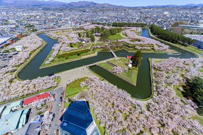 Die sternförmige Festung Festung Goryōkaku in Hakodate mit blühenden Kirschbäumen