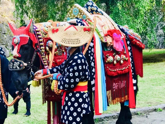 Ein dekoriertes Pferd im Rahmen des Chagu Chagu Umakko-Festes.