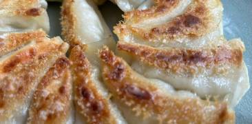 Gebratene Gyoza