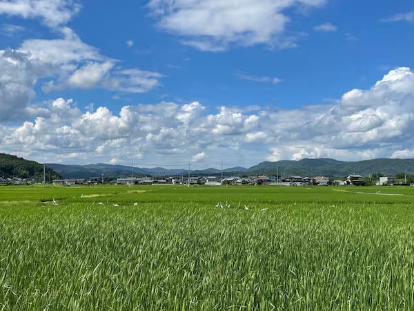 Natur in Okayama