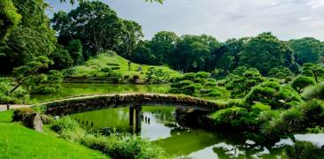 Der Kiyosumi-Park im Sommer.
