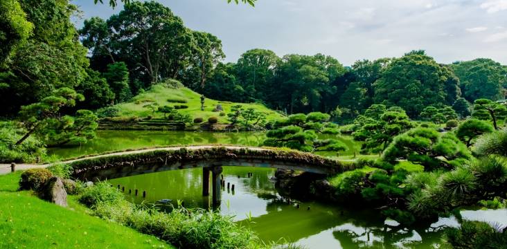 Der Kiyosumi-Park im Sommer.