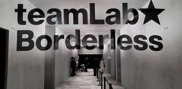 teamlab borderless eingang