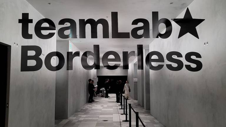 teamlab borderless eingang