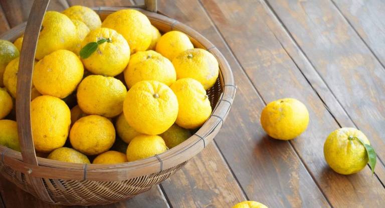 Ein Korb frischer Yuzu-Früchte.